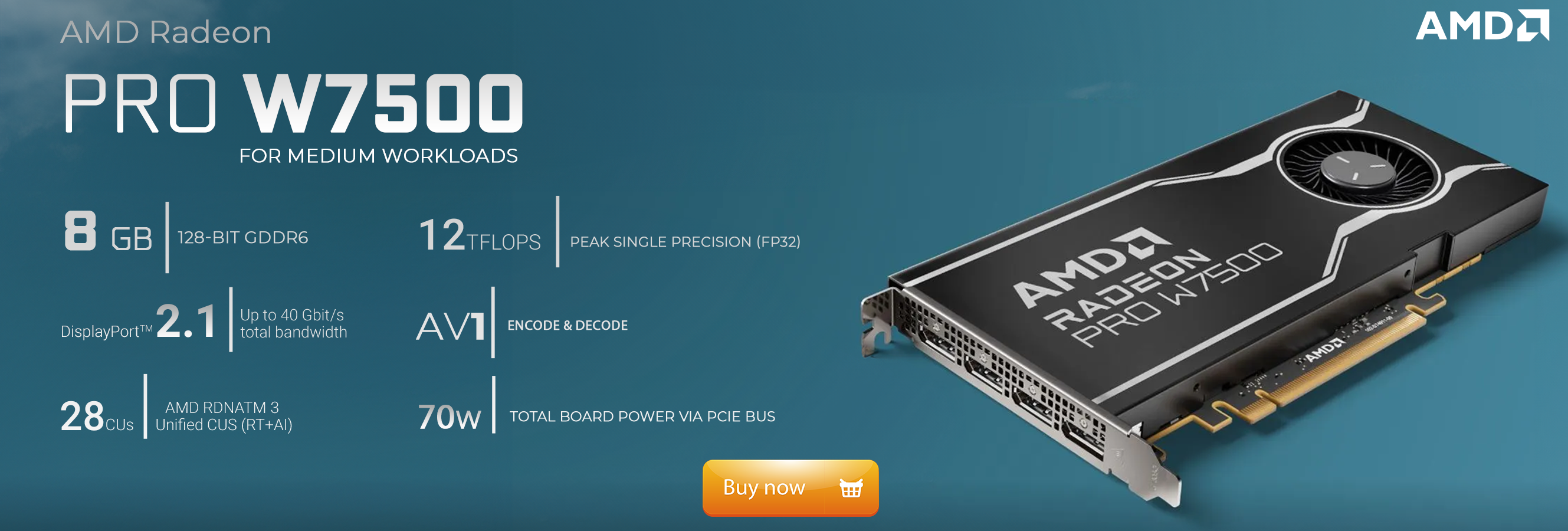 AMD Radeon PRO W7500 8GB GDDR6 Professional Graphics